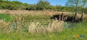 496 Romona Road Seadrift, TX 77983 - Photo 24 of 35 a view of a lake