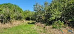 496 Romona Road Seadrift, TX 77983 - Photo 30 of 35 a view of a yard