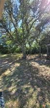 496 Romona Road Seadrift, TX 77983 - Photo 31 of 35 a view of a yard