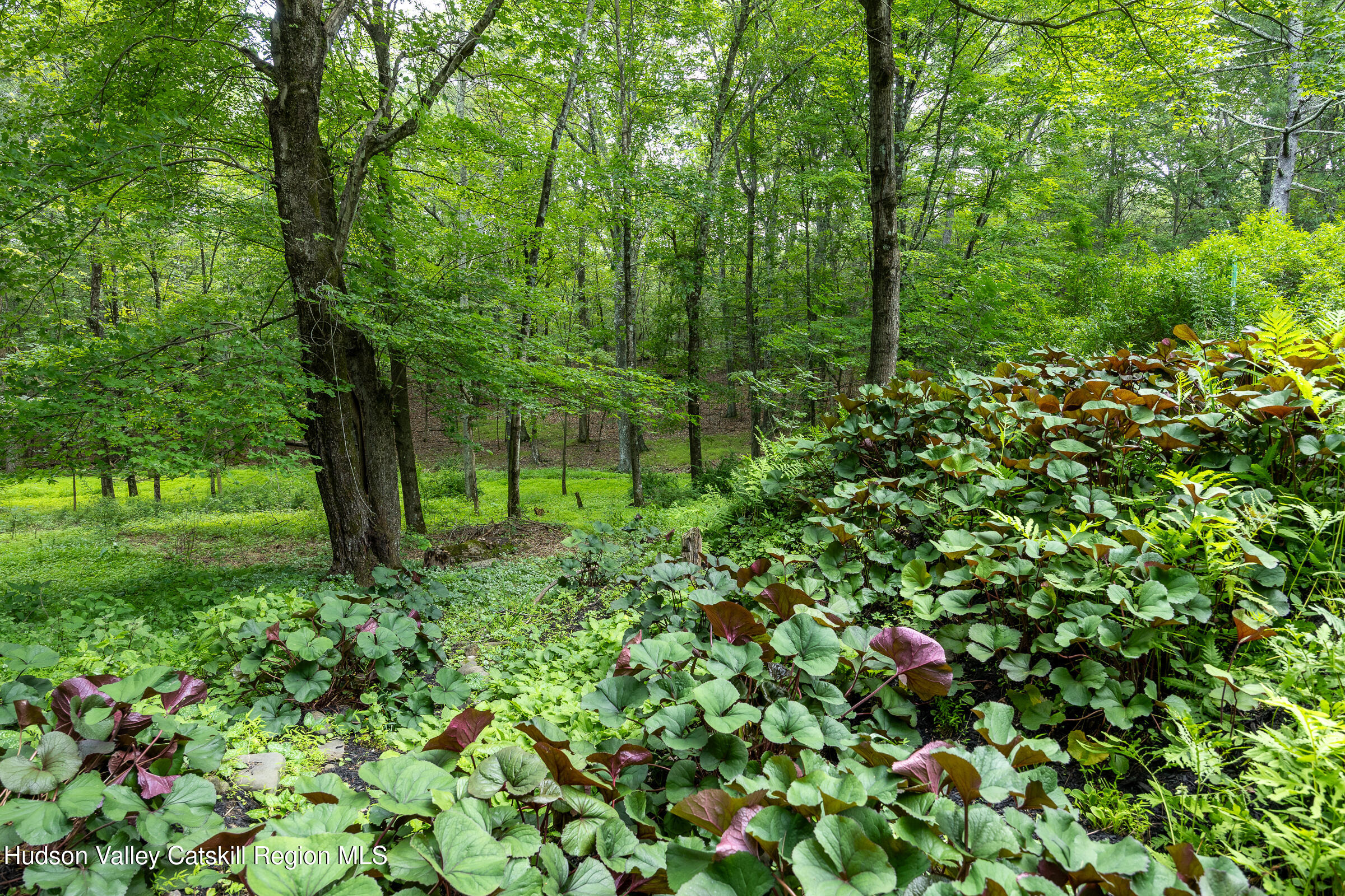 159 Pine Lane Saugerties, NY 12477 - Photo 22 of 28 159 Pine Lane LR-117