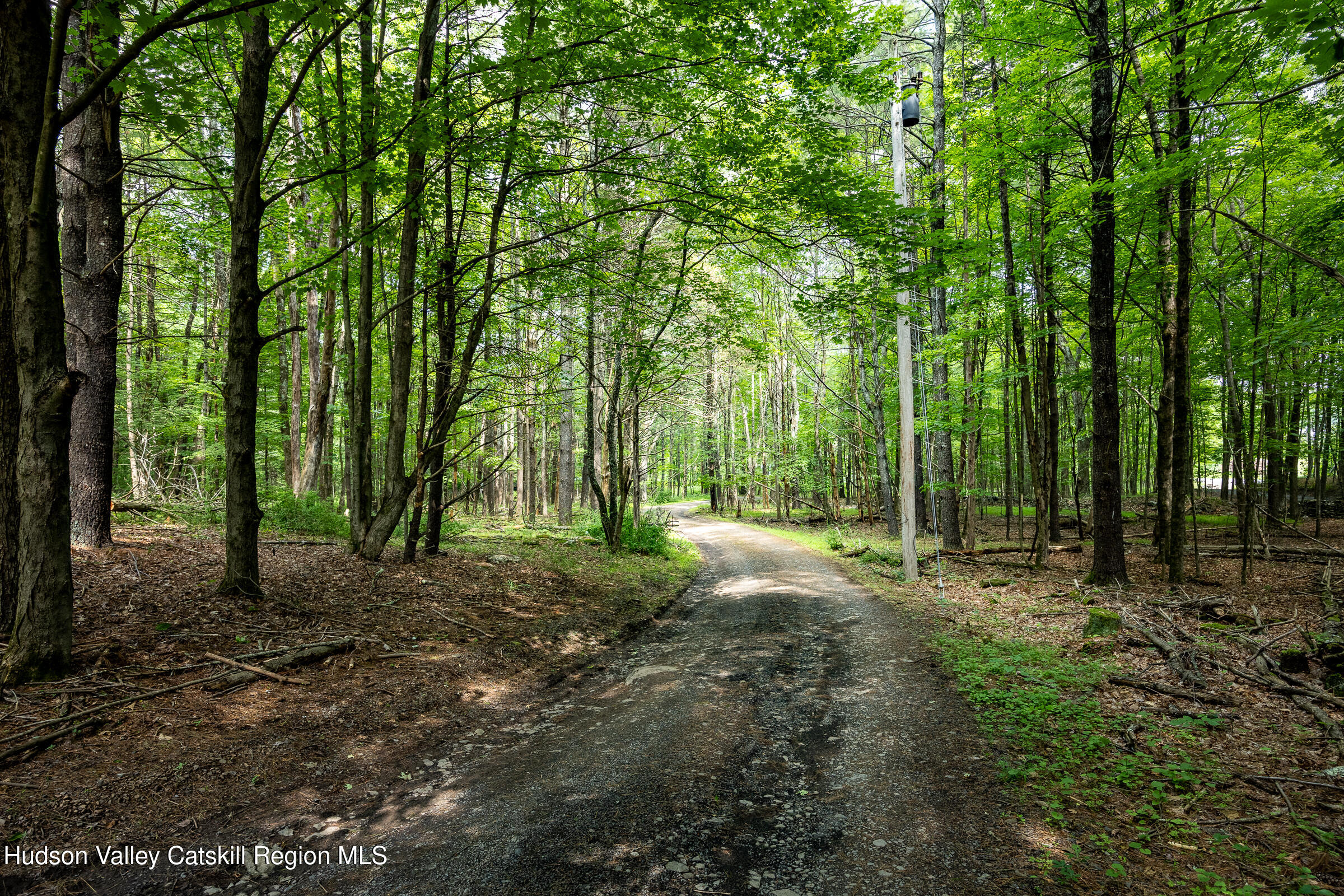 159 Pine Lane Saugerties, NY 12477 - Photo 26 of 28 159 Pine Lane LR-129