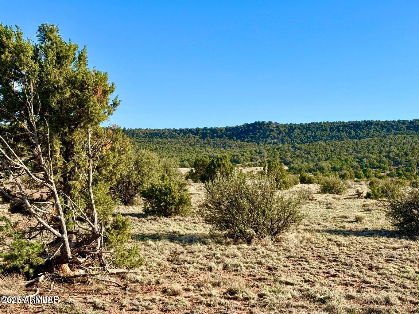 85 Co Road Concho, AZ 85924 - Photo 16 of 24 a view of lake view and mountain view
