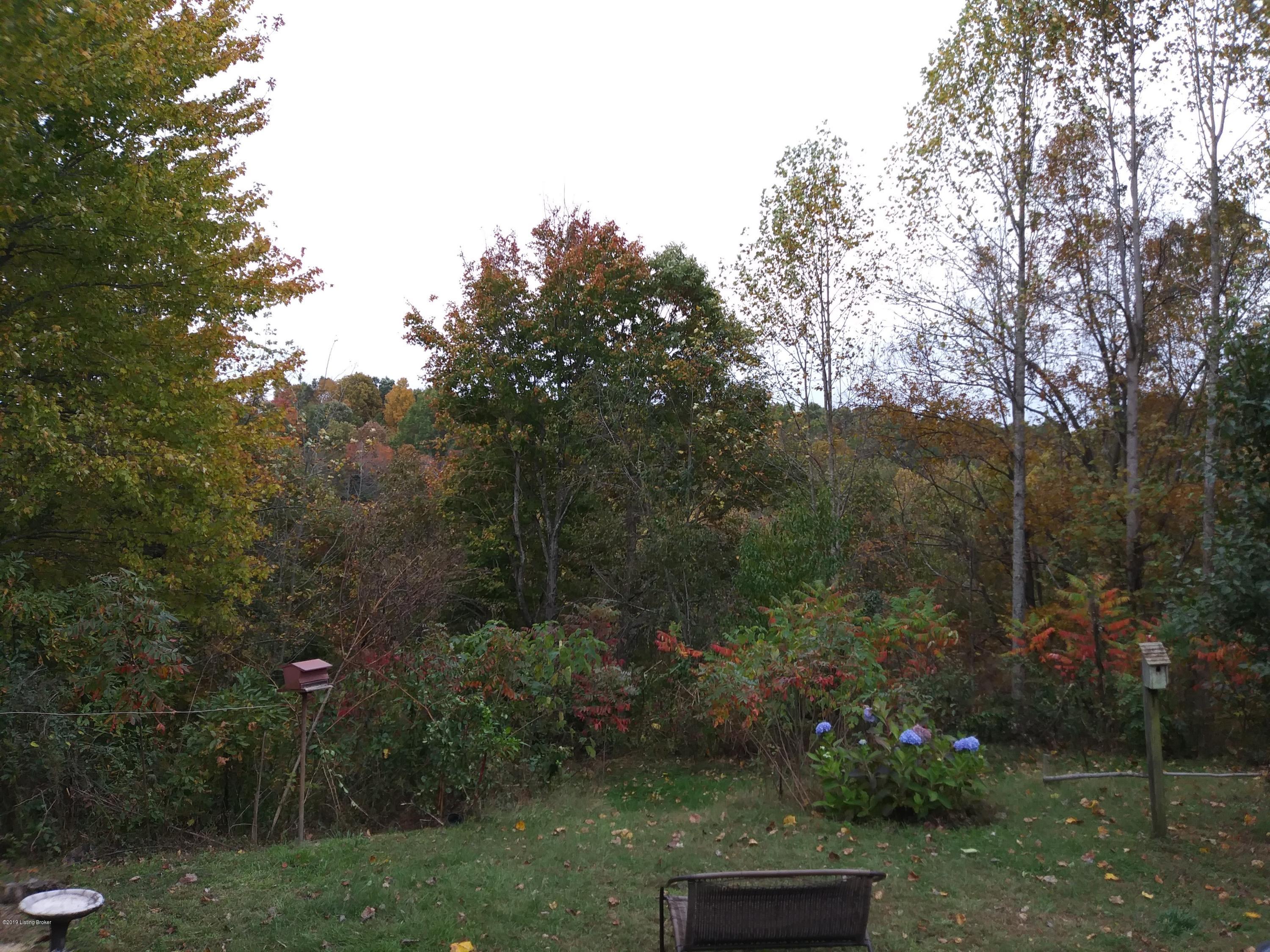 100 Snowbird Lane Bee Spring, KY 42207 - Photo 13 of 87 20171027_131150