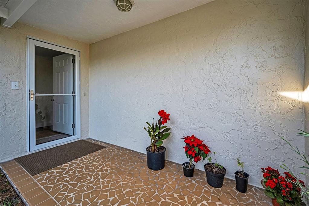 817 Riverside Drive Tarpon Springs, FL 34689 - Photo 4 of 32