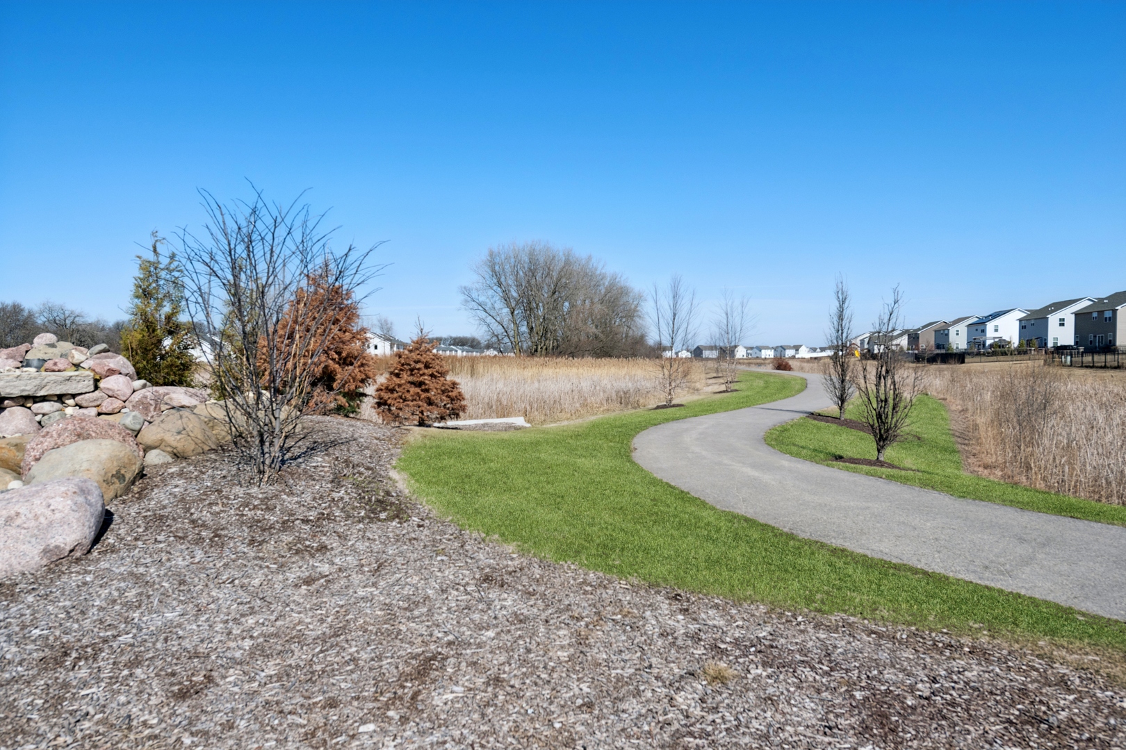 895 Brielle Boulevard Gilberts, IL 60136 - Photo 22 of 24 a view of a back yard