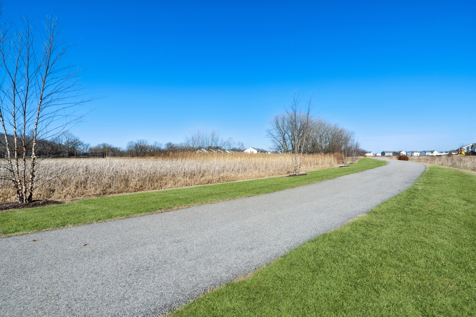 895 Brielle Boulevard Gilberts, IL 60136 - Photo 23 of 24 a view of a yard with a lake view