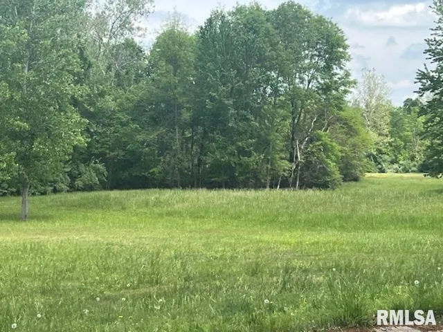 a view of field with tall trees