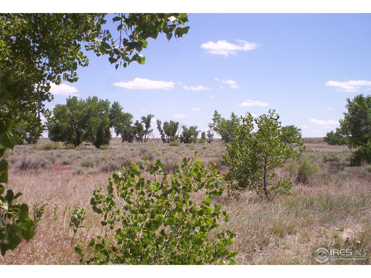 0 Long Bridge Road Fort Morgan, CO 80701 - Photo 10 of 10 Gallery Image 10