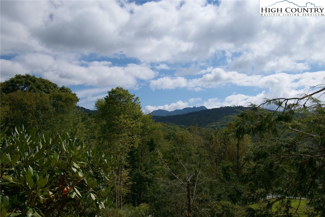 2209-2211 Sugar Mountain 2 Road Newland, NC 28657 - Photo 3 of 50