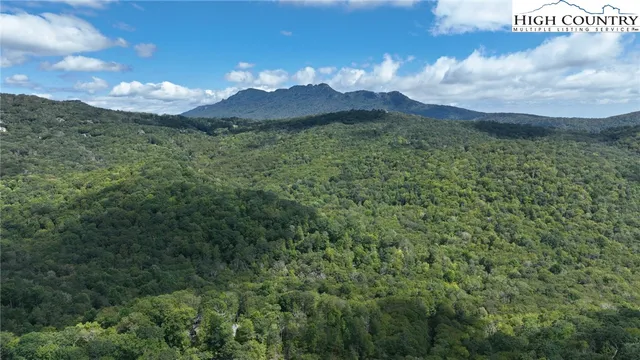 a view of a lake with a mountain