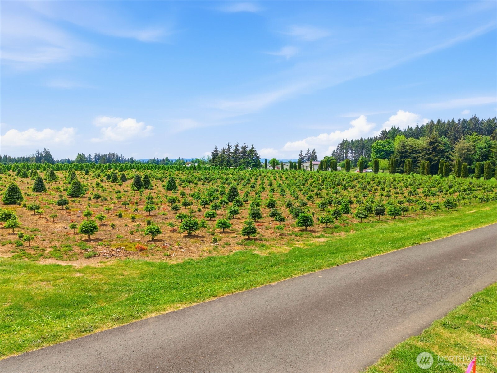 2 Shiloh Road Winlock, WA 98596 - Photo 11 of 16 a view of a city