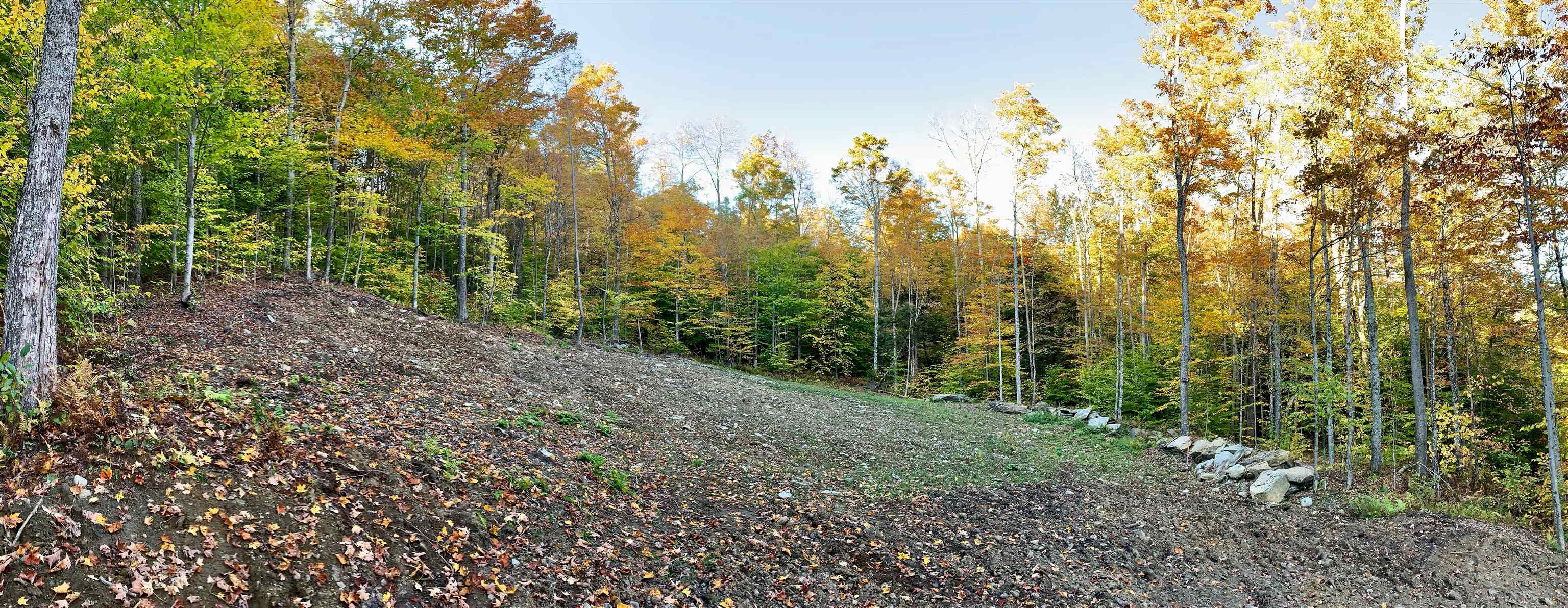 Lot 6 Southview Road, Unit LOT 6 Warren, VT 05674 - Photo 1 of 5