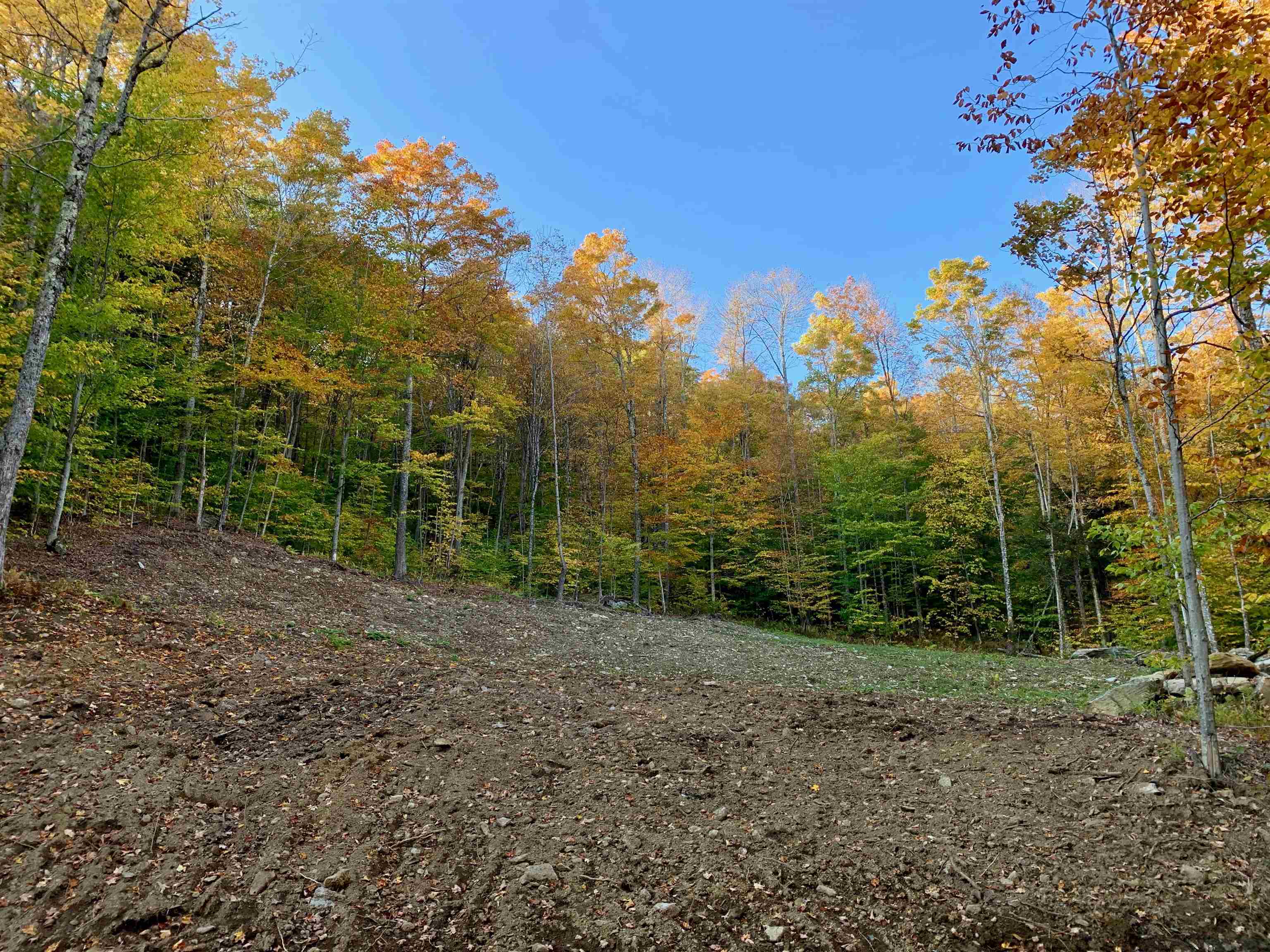 Lot 6 Southview Road, Unit LOT 6 Warren, VT 05674 - Photo 2 of 5