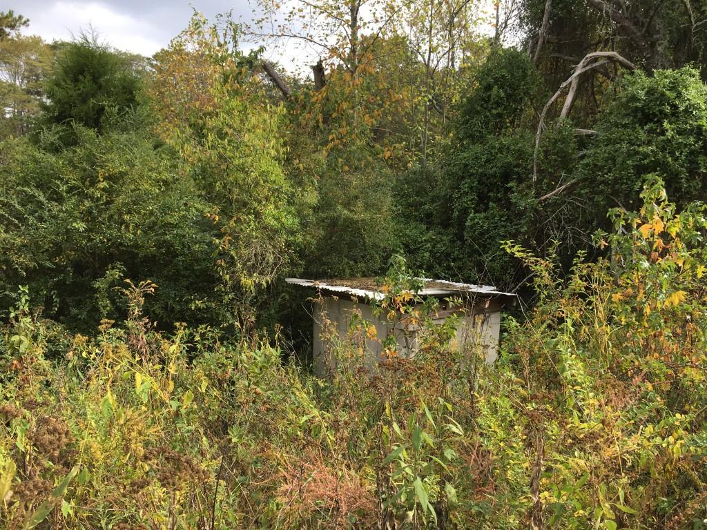Lot 5.04 Rhea County Highway, Unit 5 04 Spring City, TN 37381 - Photo 11 of 15 IMG_6227 (Medium)