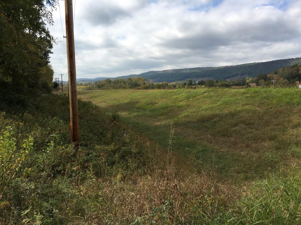 Lot 5.04 Rhea County Highway, Unit 5 04 Spring City, TN 37381 - Photo 15 of 15 IMG_6234 (Medium)