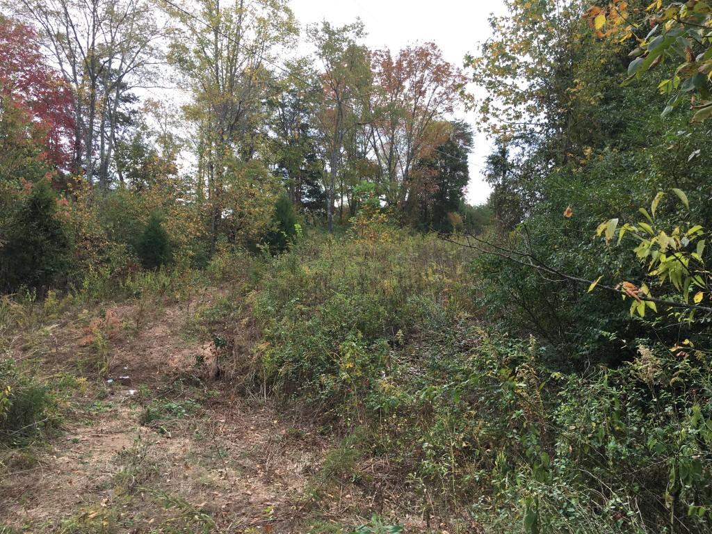 Lot 5.04 Rhea County Highway, Unit 5 04 Spring City, TN 37381 - Photo 2 of 15 IMG_6215 (Medium)