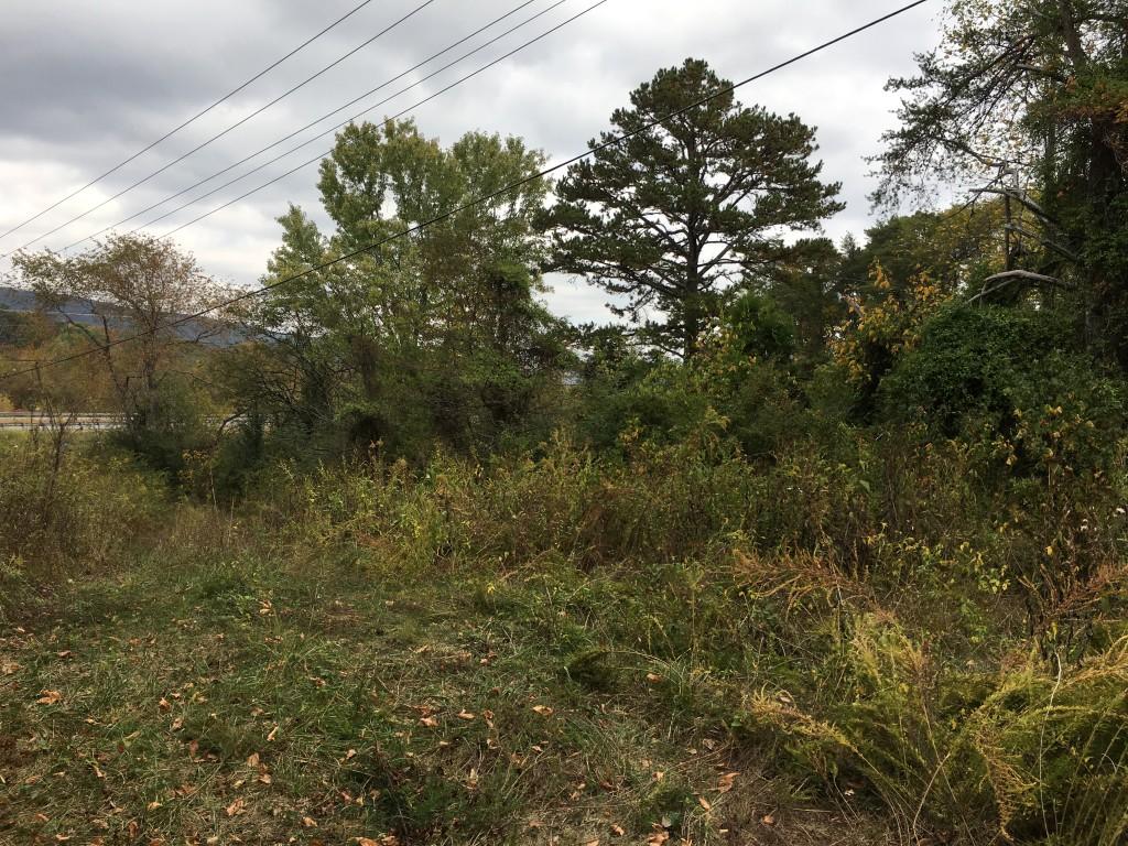Lot 5.04 Rhea County Highway, Unit 5 04 Spring City, TN 37381 - Photo 3 of 15 IMG_6216 (Medium)