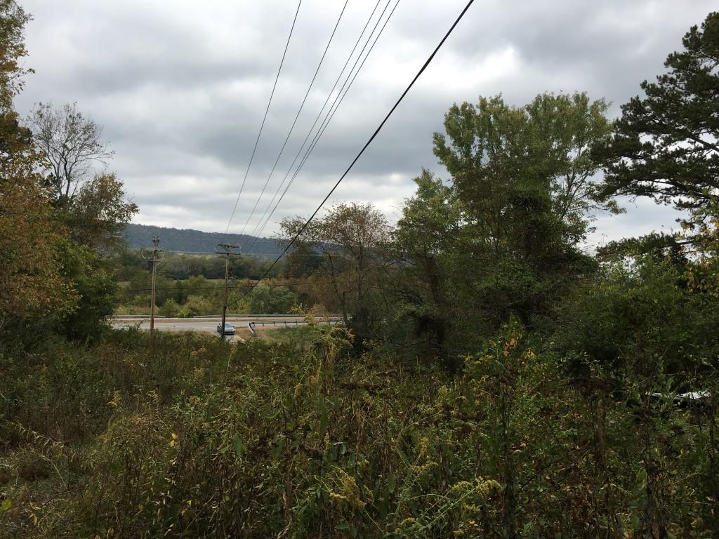 Lot 5.04 Rhea County Highway, Unit 5 04 Spring City, TN 37381 - Photo 5 of 15 IMG_6218 (Medium)