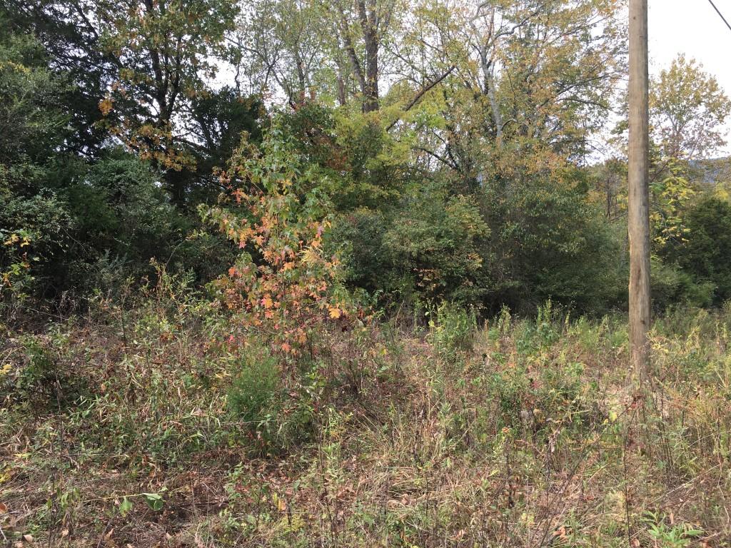 Lot 5.04 Rhea County Highway, Unit 5 04 Spring City, TN 37381 - Photo 9 of 15 IMG_6223 (Medium)