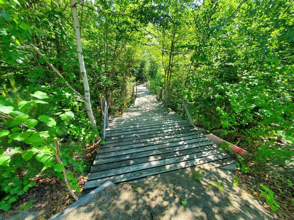 315 Hopkins Pond Road Clifton, ME 04428 - Photo 15 of 50 wonderful approach to the lake