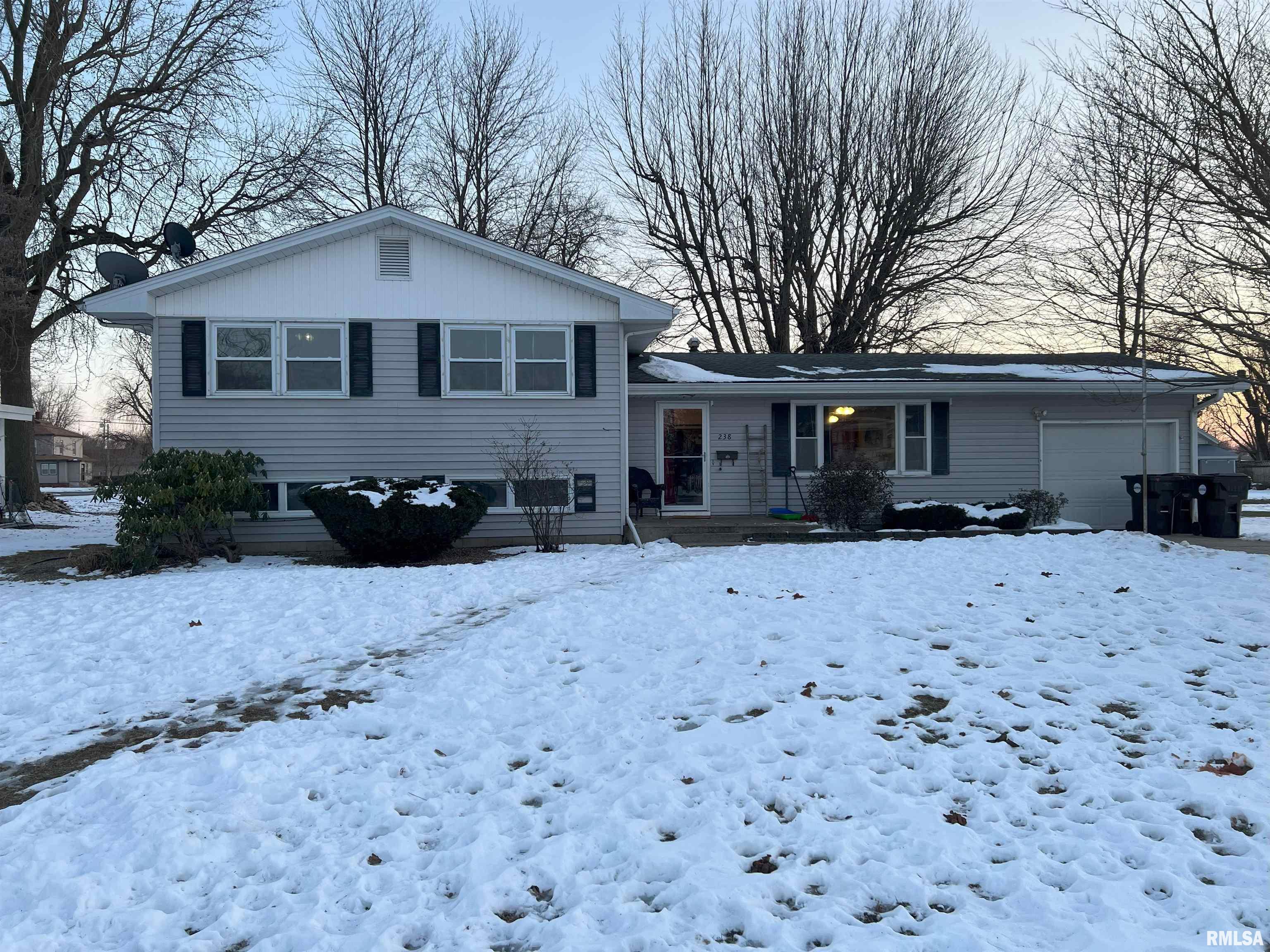 238 East Prairie Street Roodhouse, IL 62082 - Photo 1 of 52