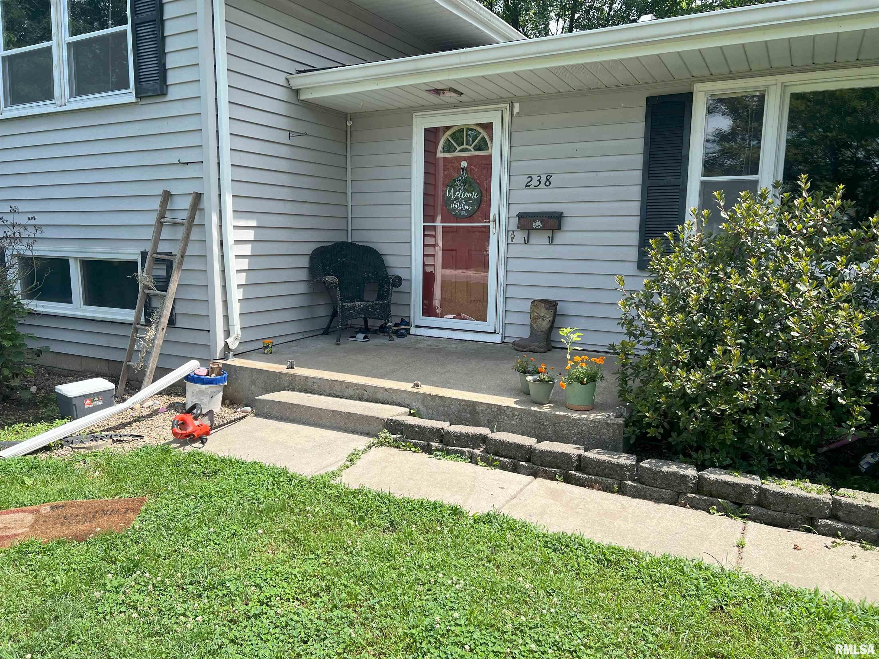 238 East Prairie Street Roodhouse, IL 62082 - Photo 2 of 54