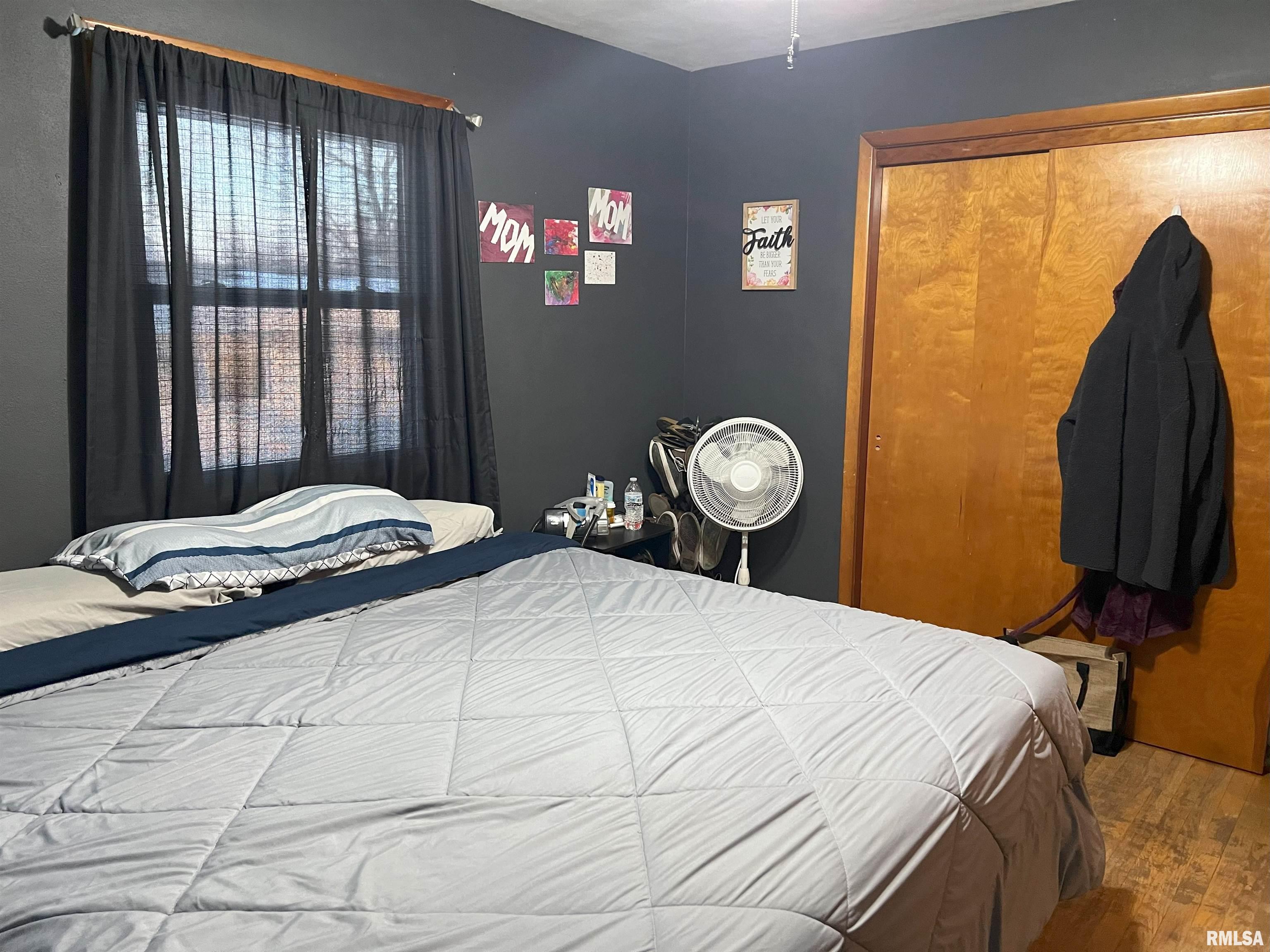 238 East Prairie Street Roodhouse, IL 62082 - Photo 36 of 54