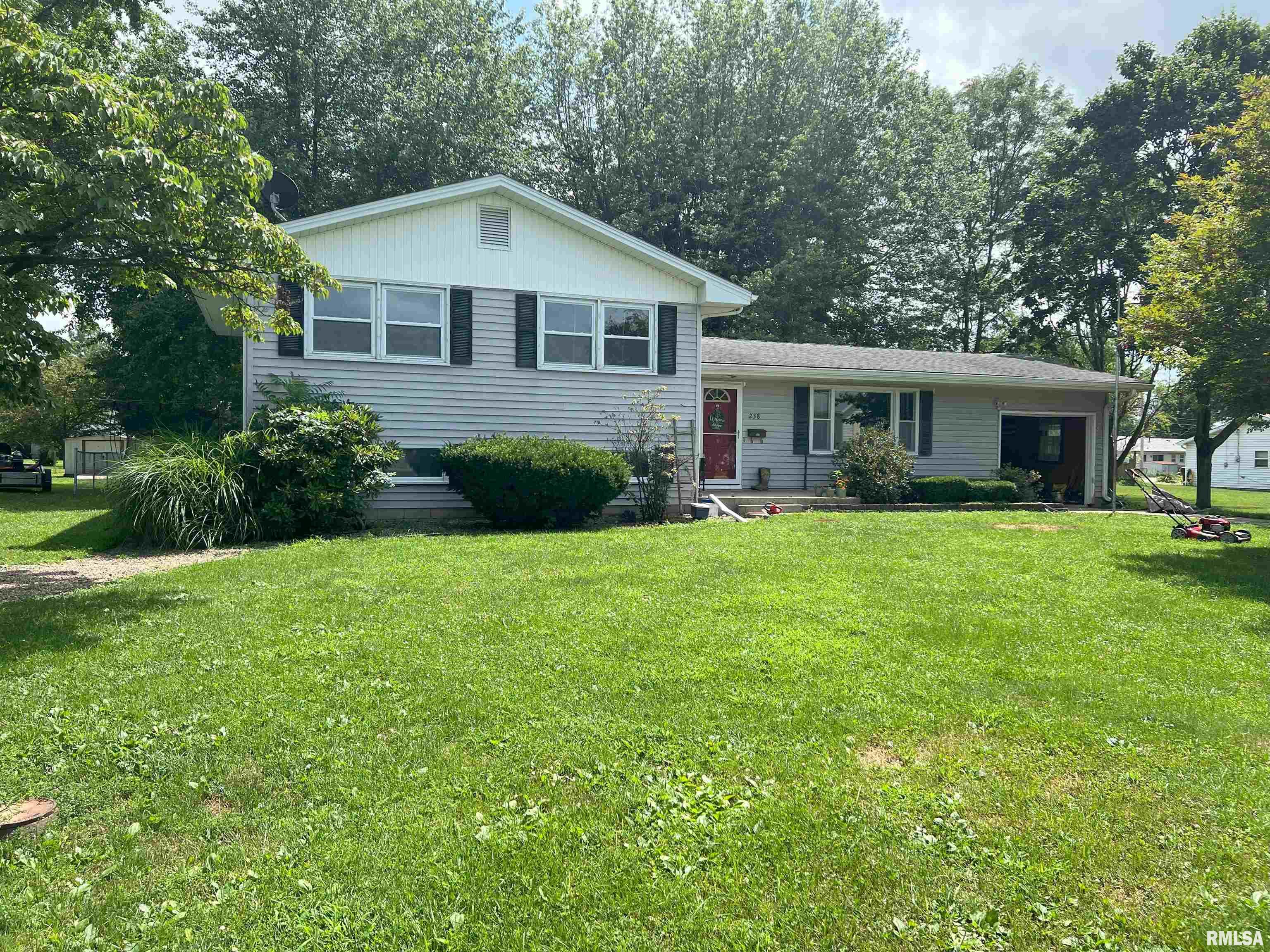 238 East Prairie Street Roodhouse, IL 62082 - Photo 4 of 54