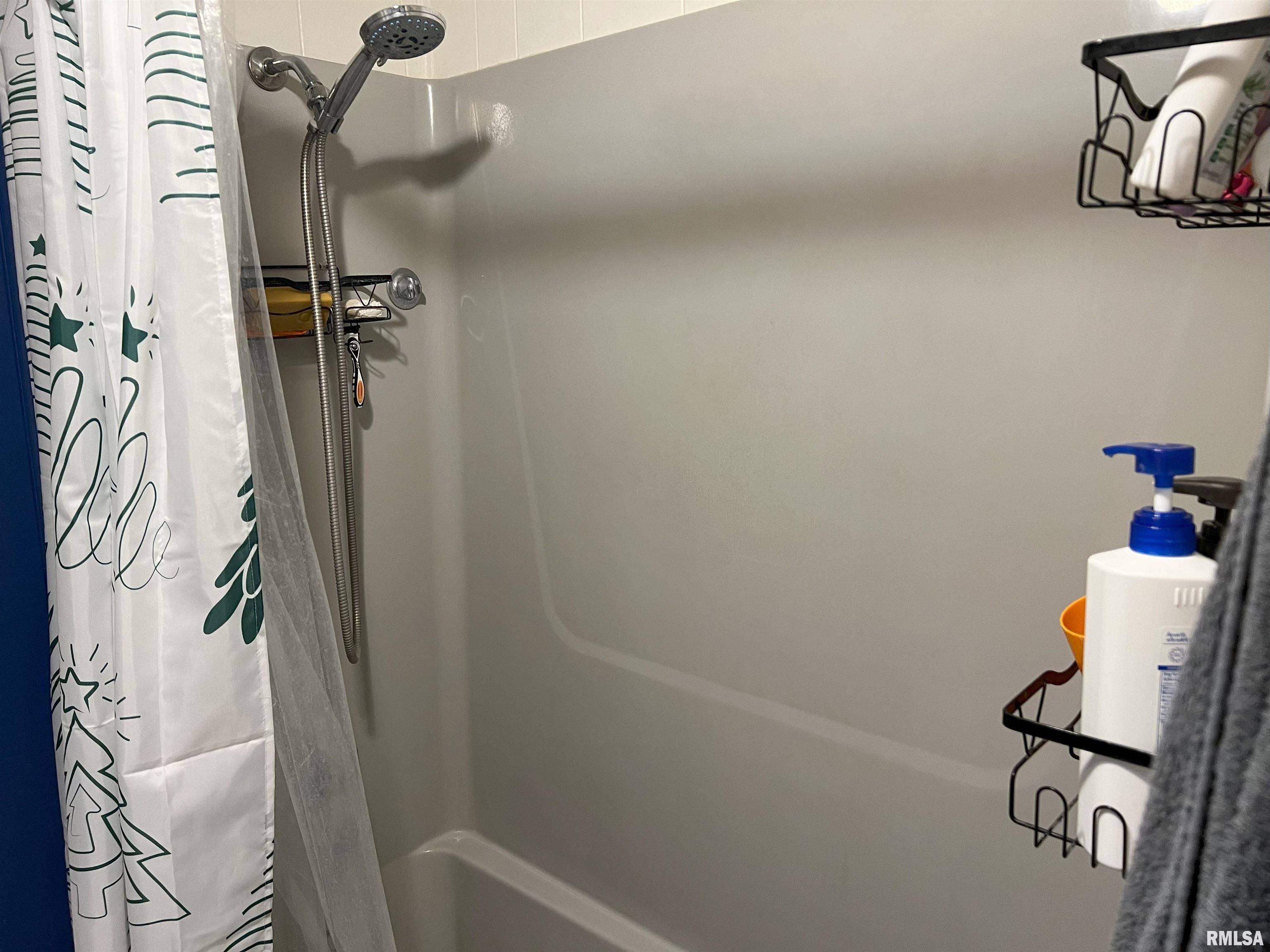 238 East Prairie Street Roodhouse, IL 62082 - Photo 41 of 54