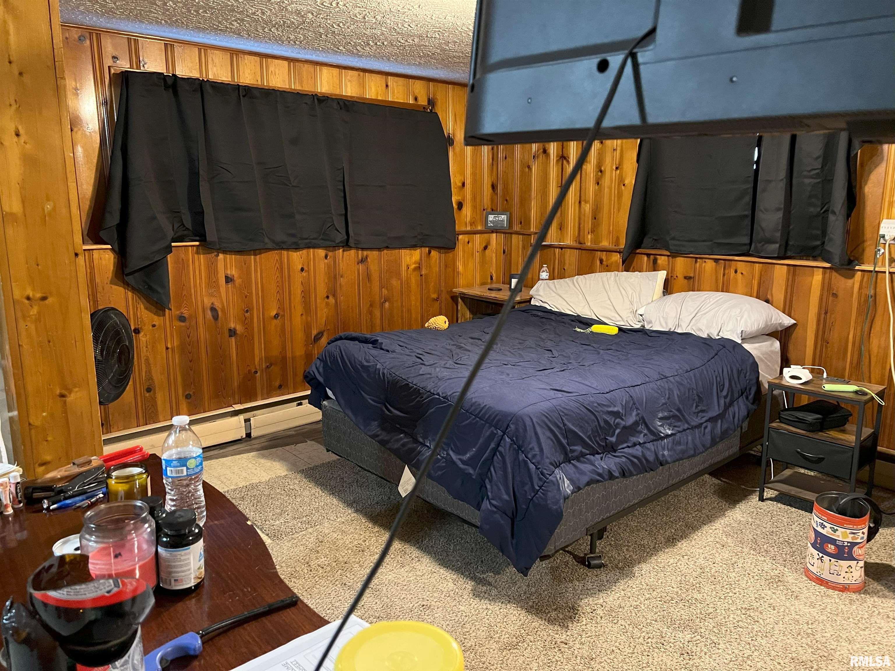 238 East Prairie Street Roodhouse, IL 62082 - Photo 43 of 54