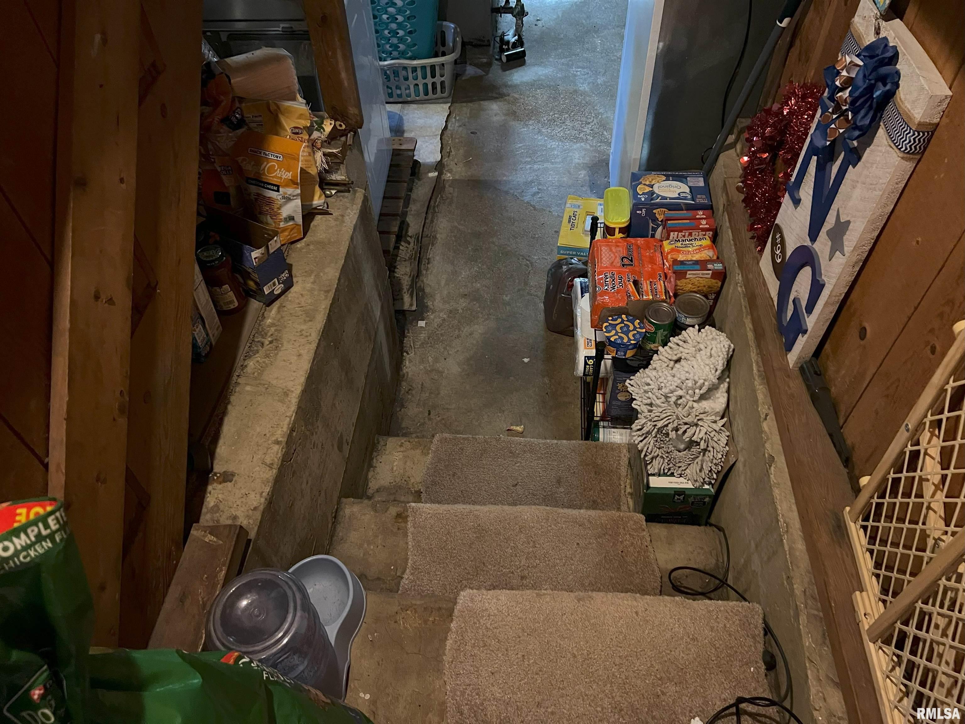 238 East Prairie Street Roodhouse, IL 62082 - Photo 48 of 54