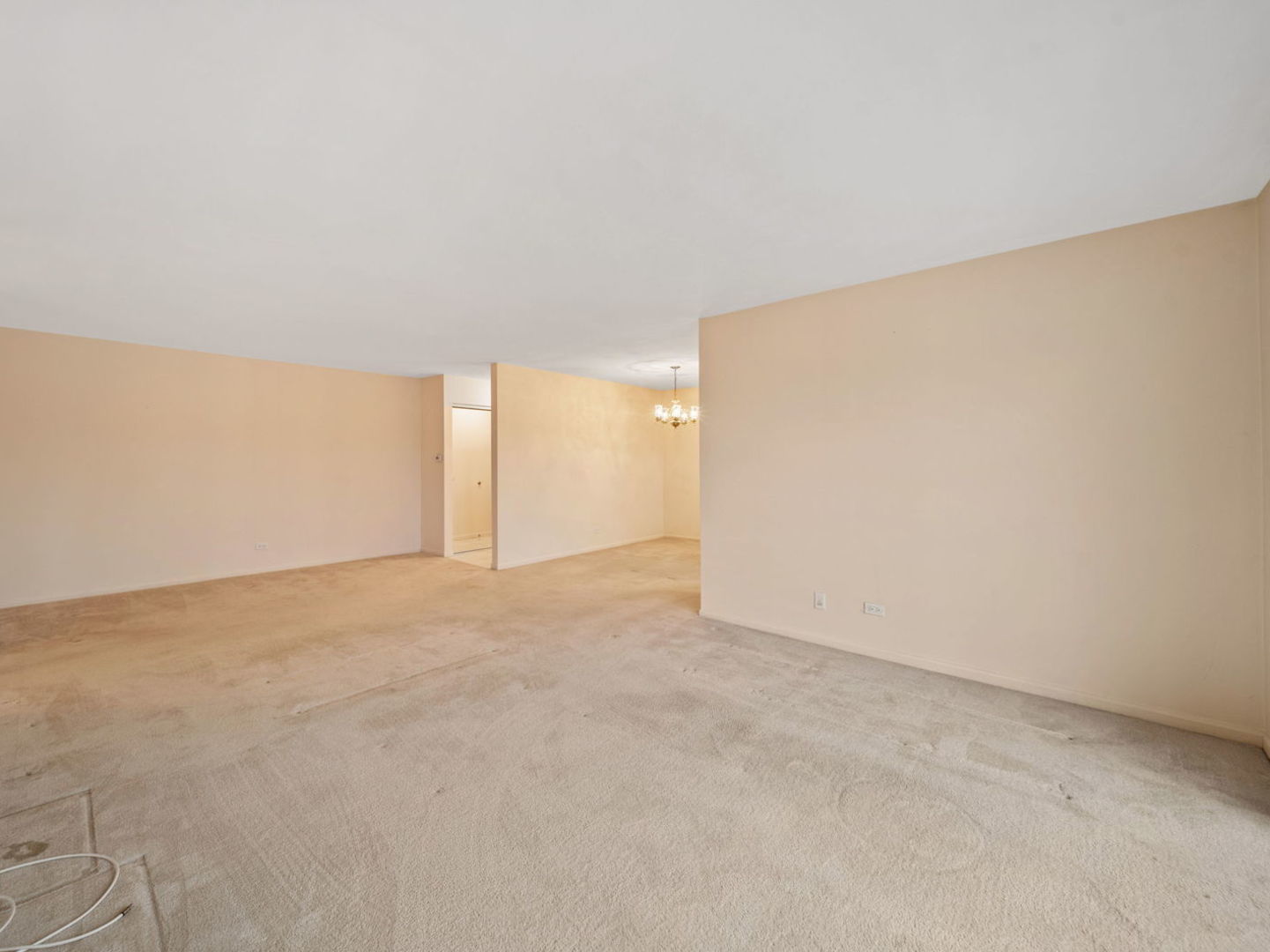 464 Raintree Drive, Unit 2D Glen Ellyn, IL 60137 - Photo 8 of 25 Gallery Image 8