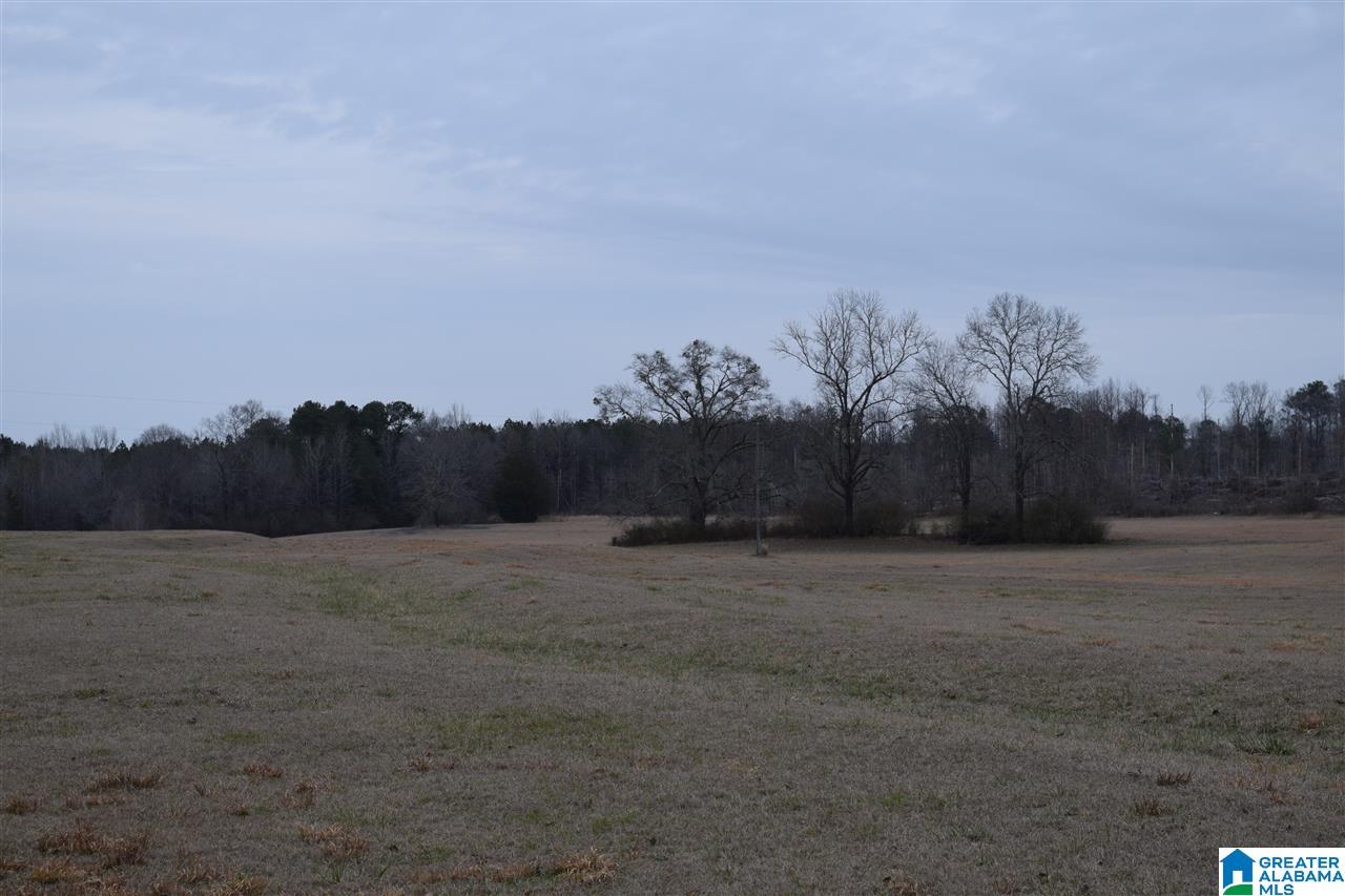 11218 Vance Blocton Road Vance, AL 35490 - Photo 14 of 37