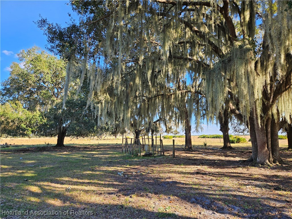 320 Grigsby Road Venus, FL 33960 - Photo 14 of 21 Gallery Image 14