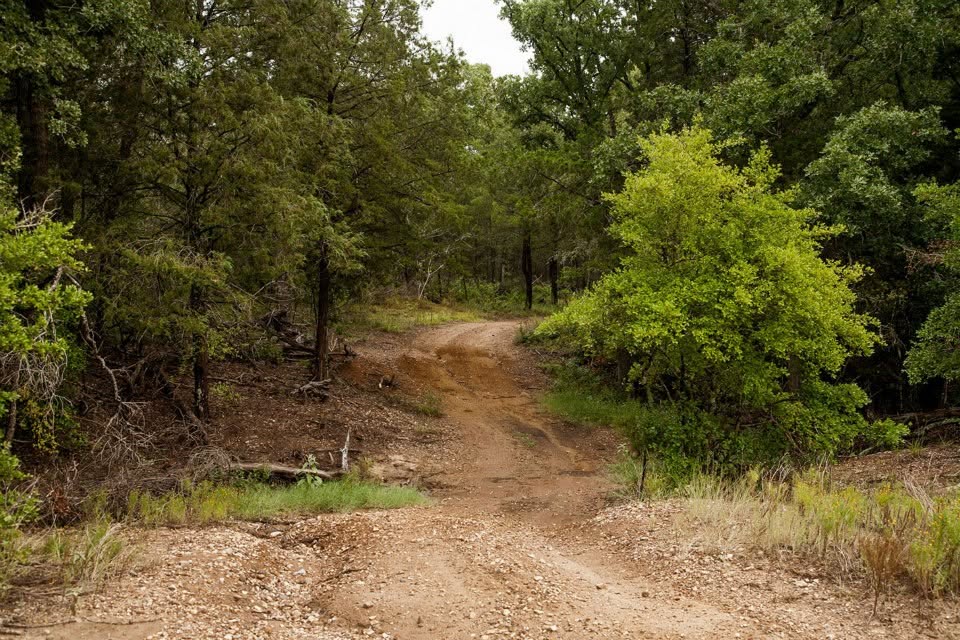 4342 Dobrovolny Road Bryan, TX 77807 - Photo 18 of 24 RV trails that would need to be restored