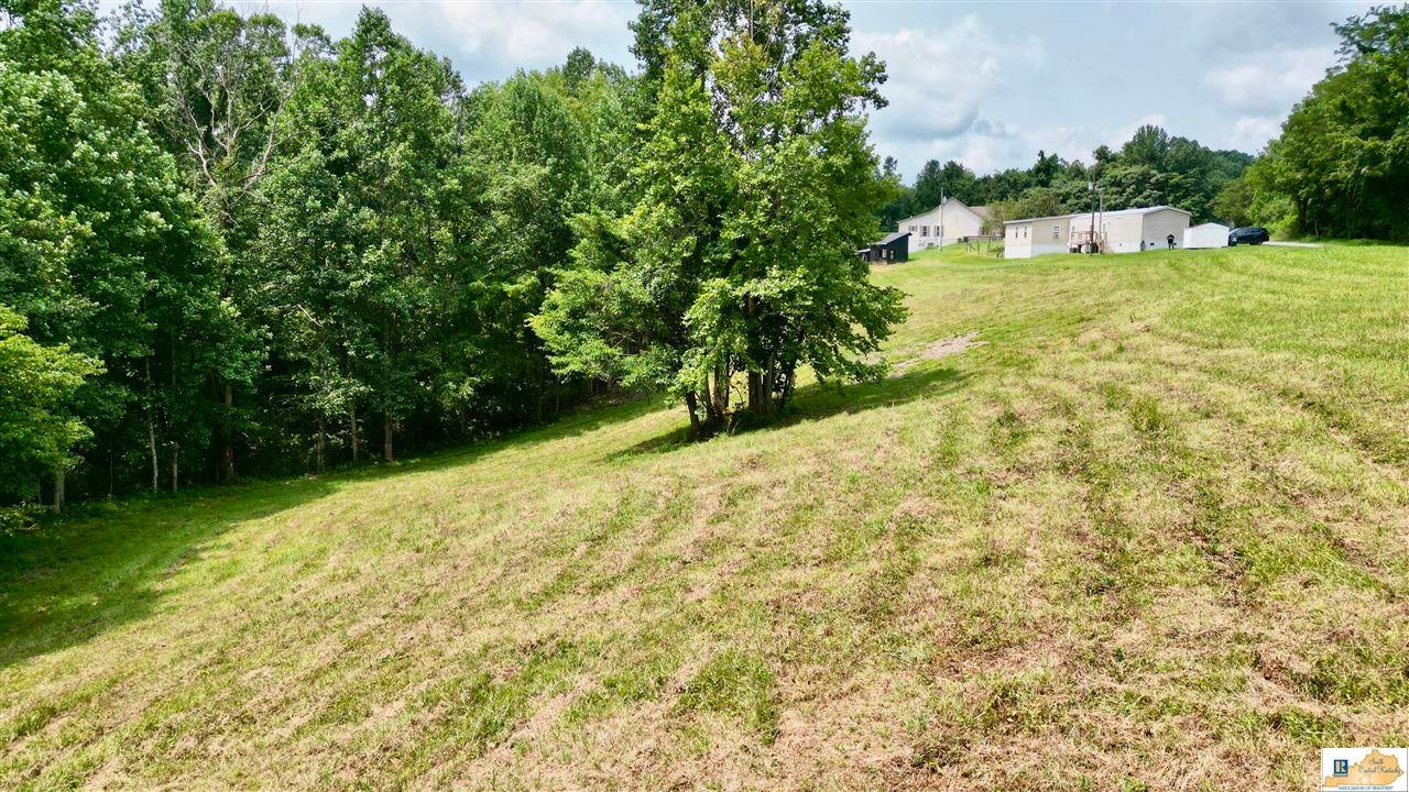 3135 Independence Ridge Road Breeding, KY 42715 - Photo 10 of 49 Gallery Image 10