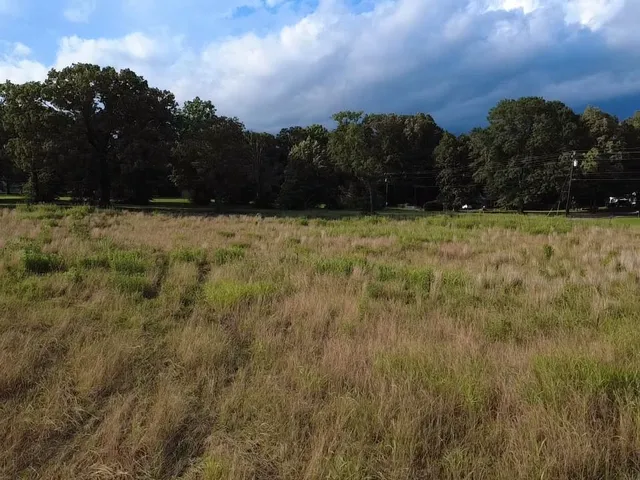 a view of outdoor space and a yard