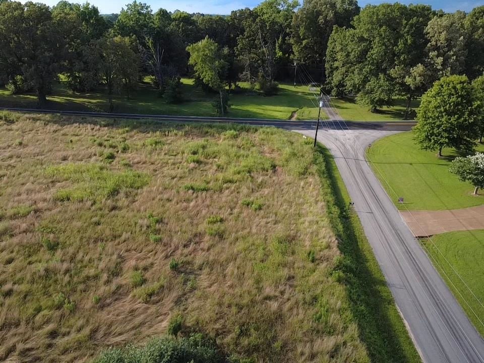 Hill Avenue Henderson, TN 38340 - Photo 8 of 14 a view of a yard with large trees