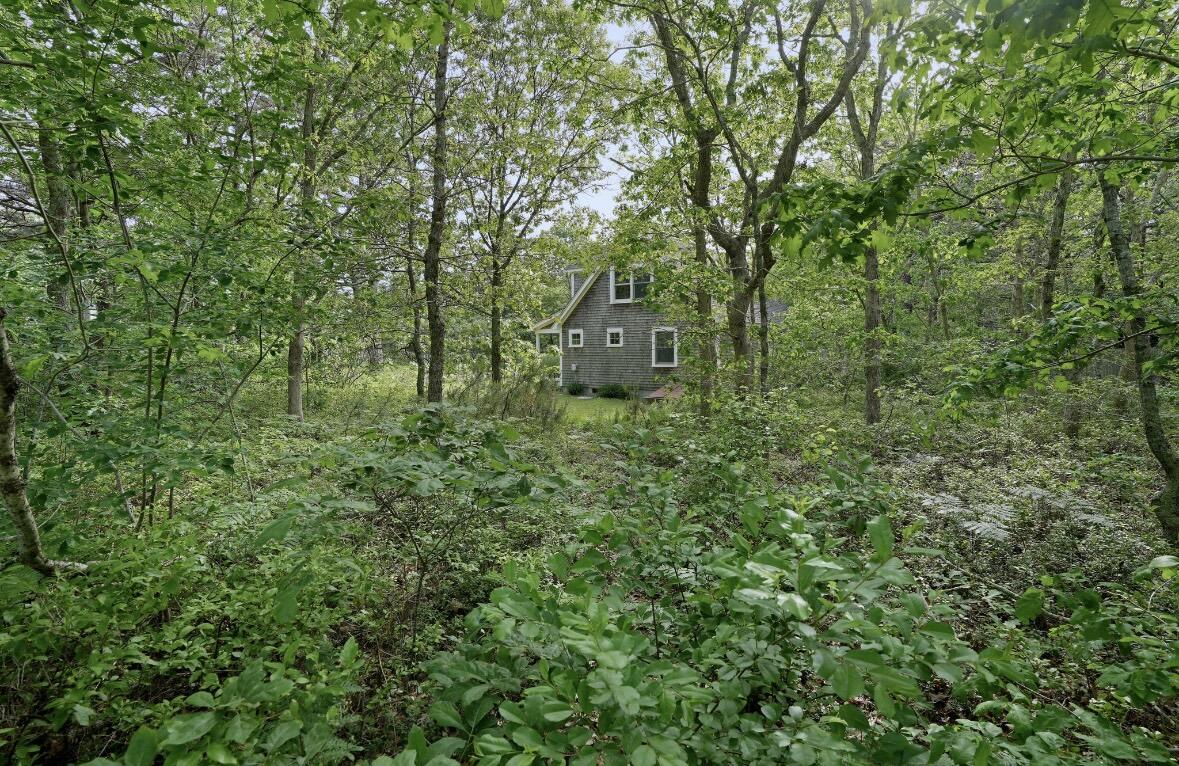 395 West Tisbury Road Edgartown, MA 02539 - Photo 19 of 23 Back Property Line
