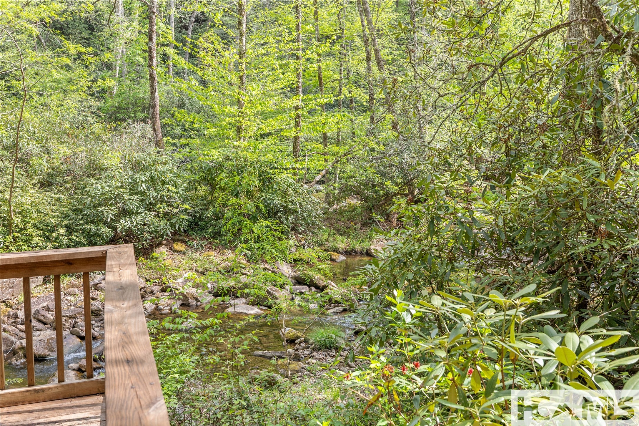1701 Cullowhee Forest Road Cullowhee, NC 28723 - Photo 72 of 96 Gallery Image 72