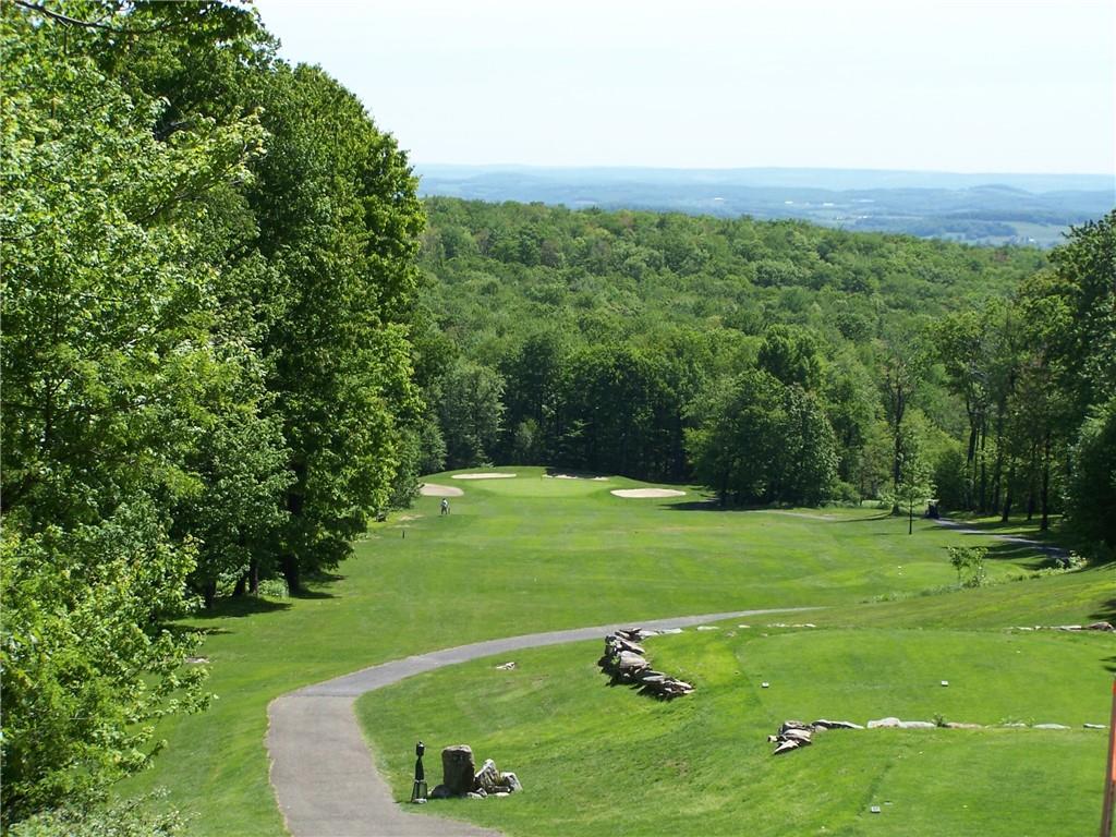1223 Veech Lane Hidden Valley, PA 15502 - Photo 27 of 30 a view of a field with a yard