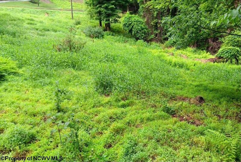 0 Heaston Ridge Crawford, WV 26343 - Photo 3 of 12 Gallery Image 3