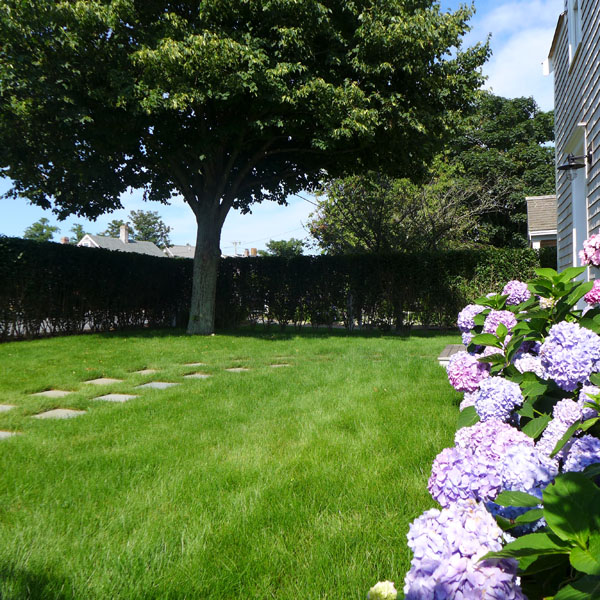 4 Madaket Road Nantucket, MA 02554 - Photo 11 of 53 Gallery Image 11