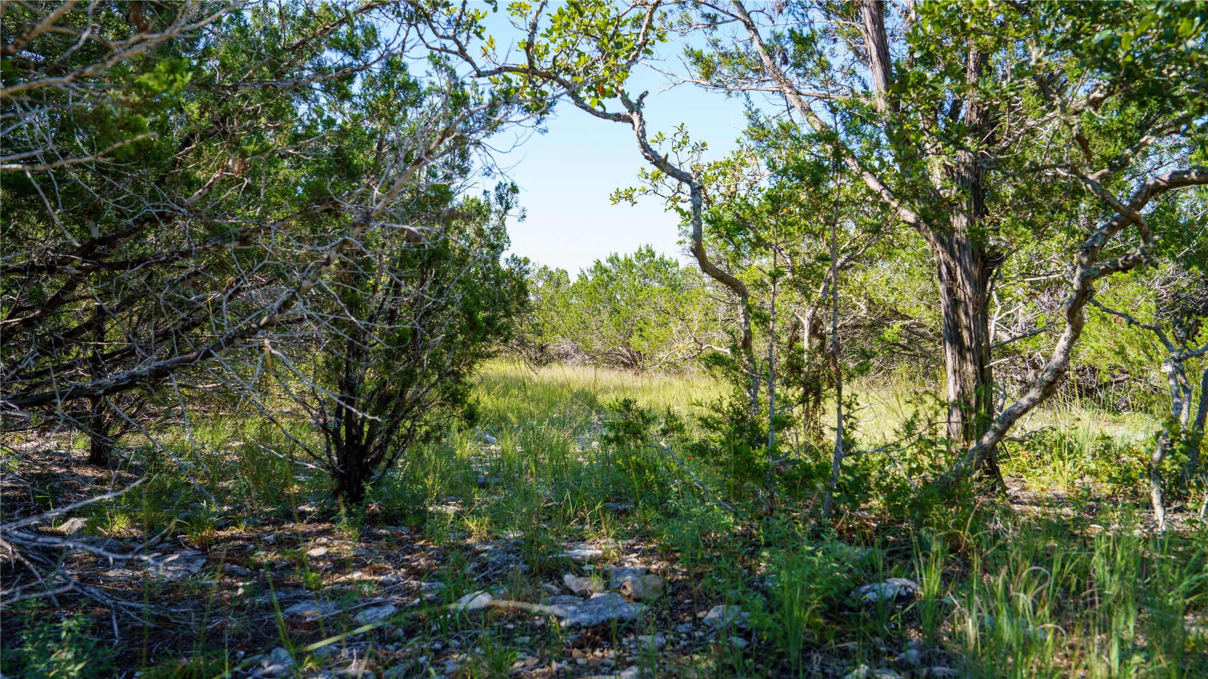 150 Henderson Branch Road West Ingram, TX 78025 - Photo 9 of 27 View of undeveloped land
