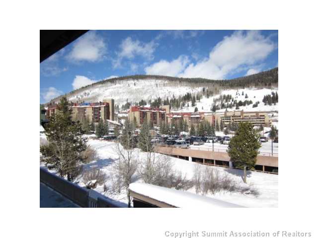 108 Guller Road, Unit A5 Frisco, CO 80443 - Photo 17 of 25 View.