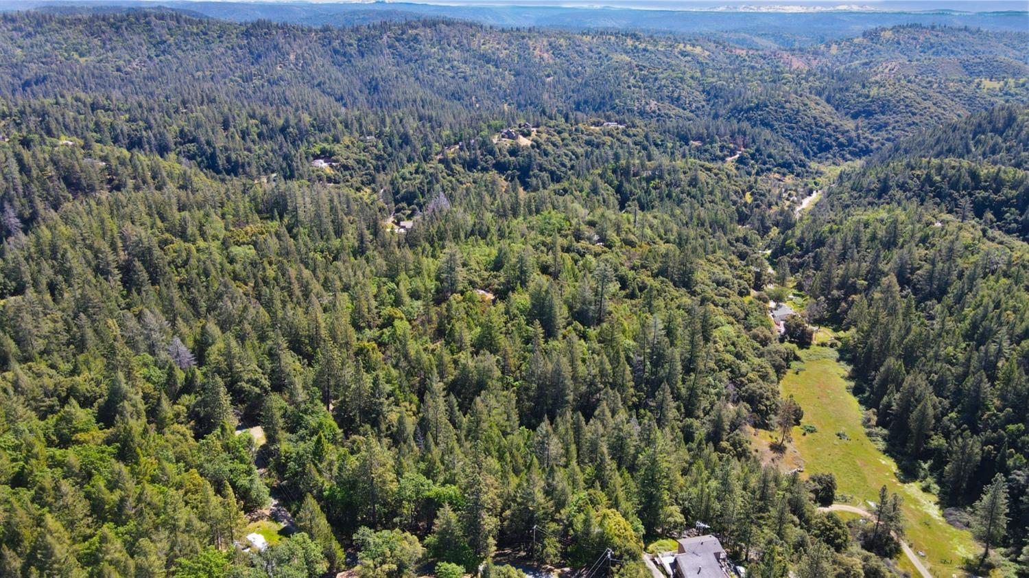 22500 Canyon Way Colfax, CA 95713 - Photo 12 of 33 a view of a forest with a tree