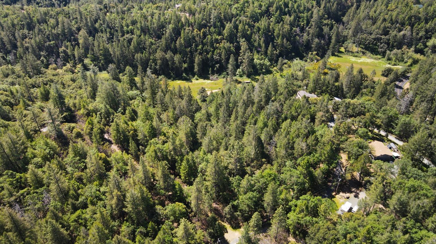 22500 Canyon Way Colfax, CA 95713 - Photo 15 of 33 a view of a forest with a tree