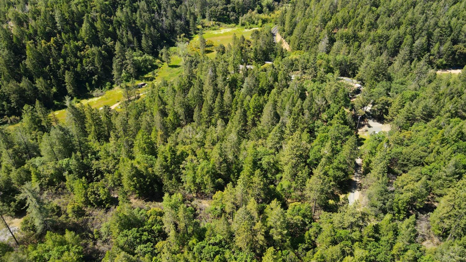 22500 Canyon Way Colfax, CA 95713 - Photo 17 of 33 a view of a lush green forest