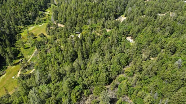 a view of a city with lush green forest