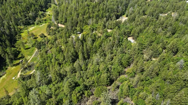 a view of a city with lush green forest